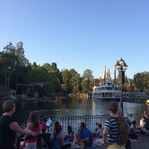 Disneyland Magic For Sale 2